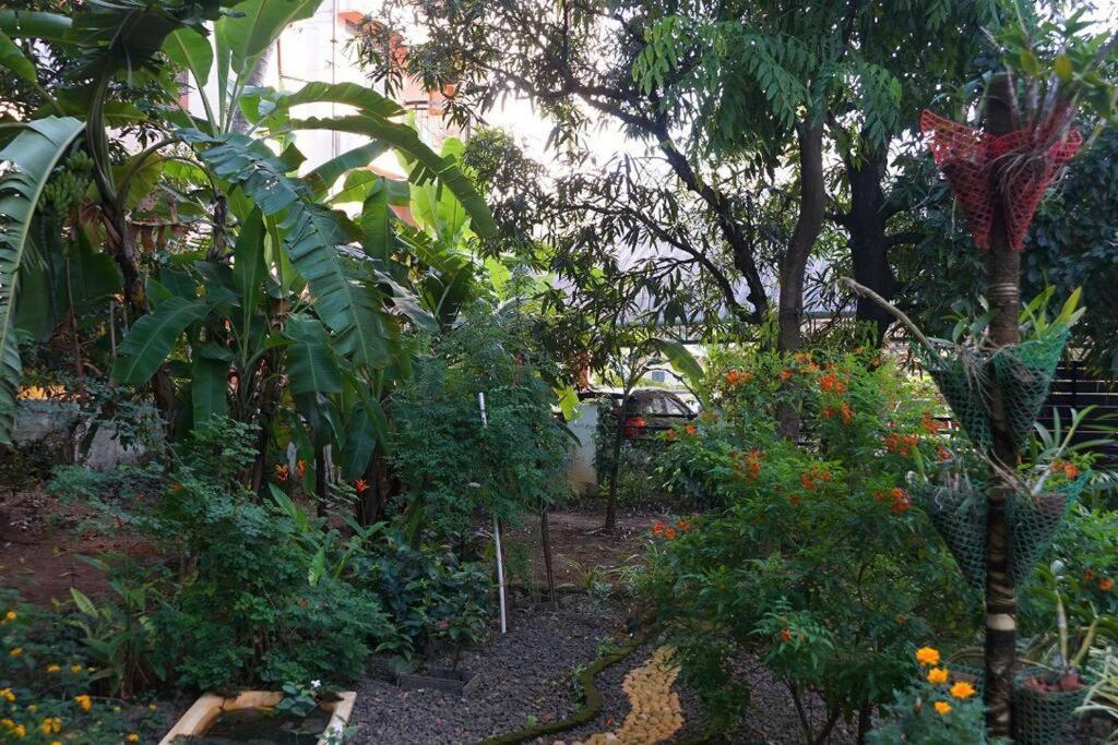 Sowparnika - A Family Home Experience Kochi エクステリア 写真