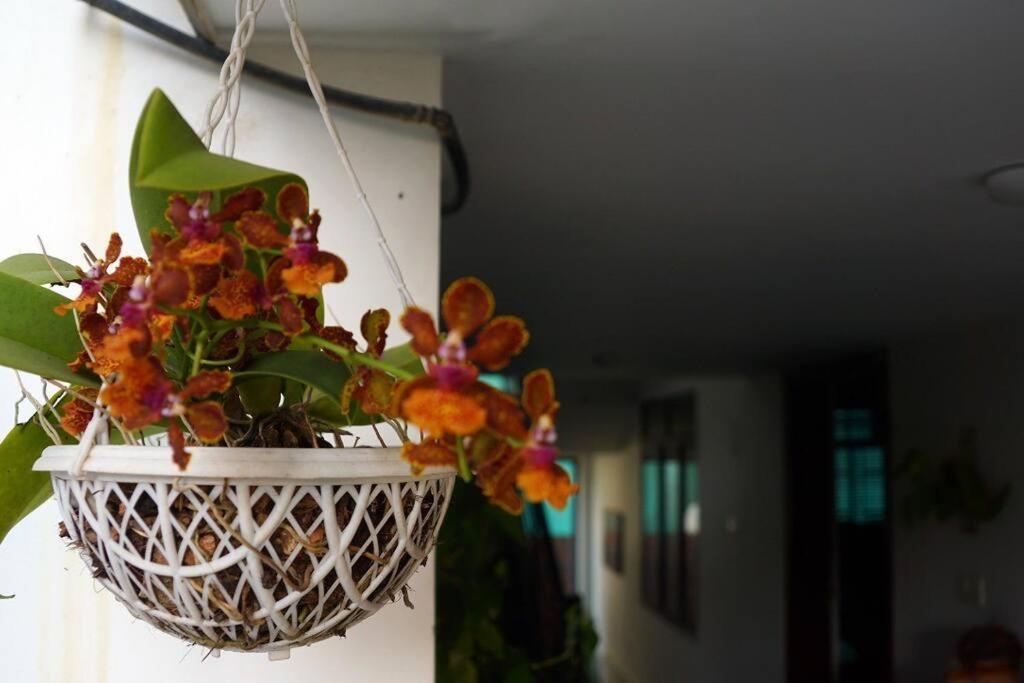 Sowparnika - A Family Home Experience Kochi エクステリア 写真
