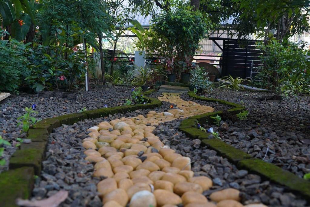 Sowparnika - A Family Home Experience Kochi エクステリア 写真